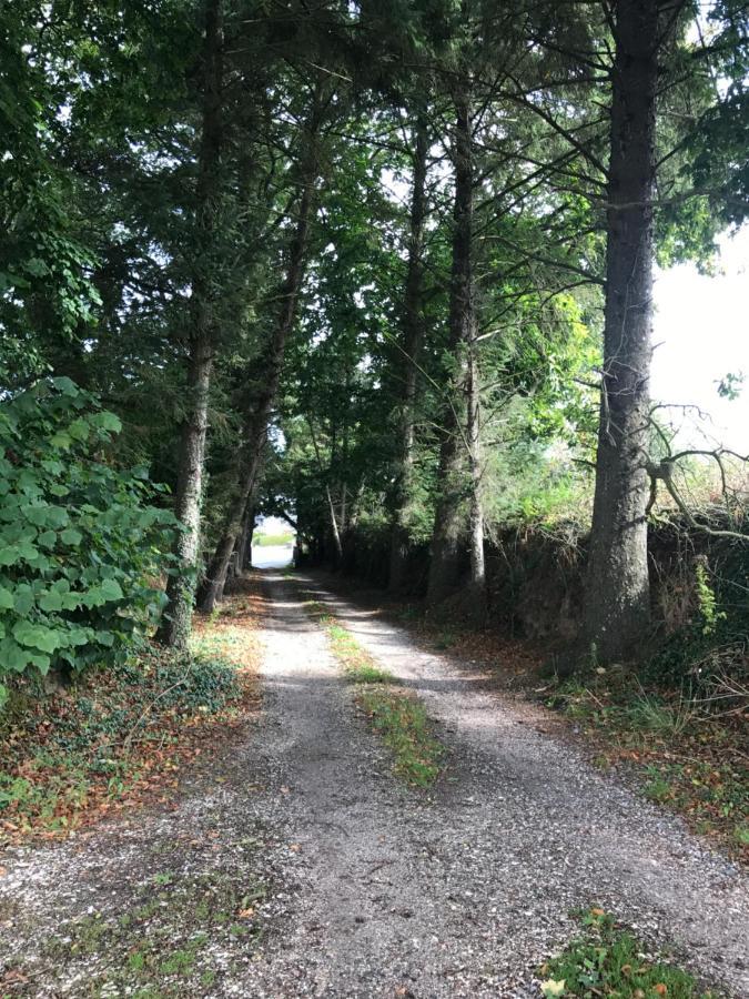 Manoir De Parc Ar Brun Villa Tréguier Eksteriør bilde