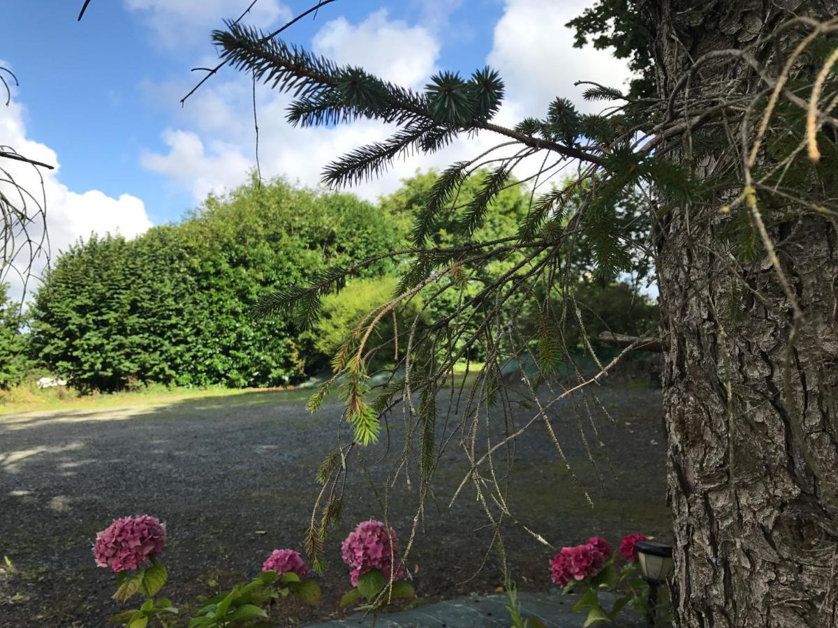 Manoir De Parc Ar Brun Villa Tréguier Eksteriør bilde